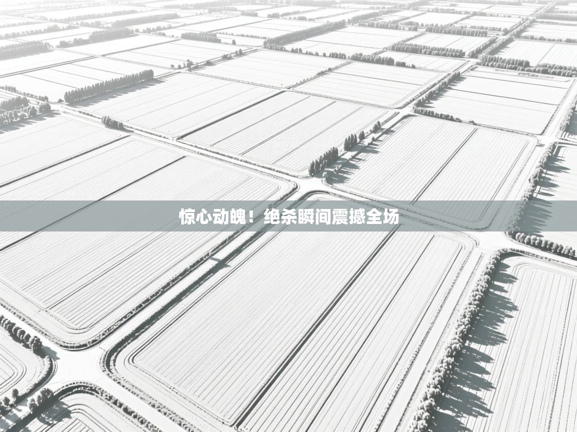 惊心动魄！绝杀瞬间震撼全场  第1张