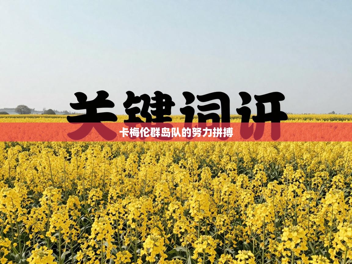 卡梅伦群岛队的努力拼搏  第1张