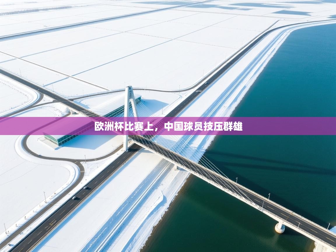 欧洲杯比赛上，中国球员技压群雄  第1张